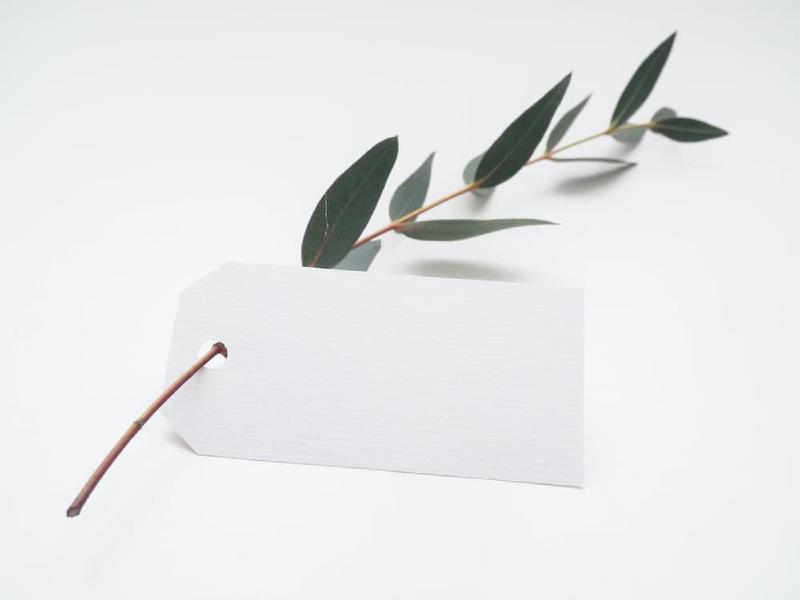 Featured image of post 无用文件